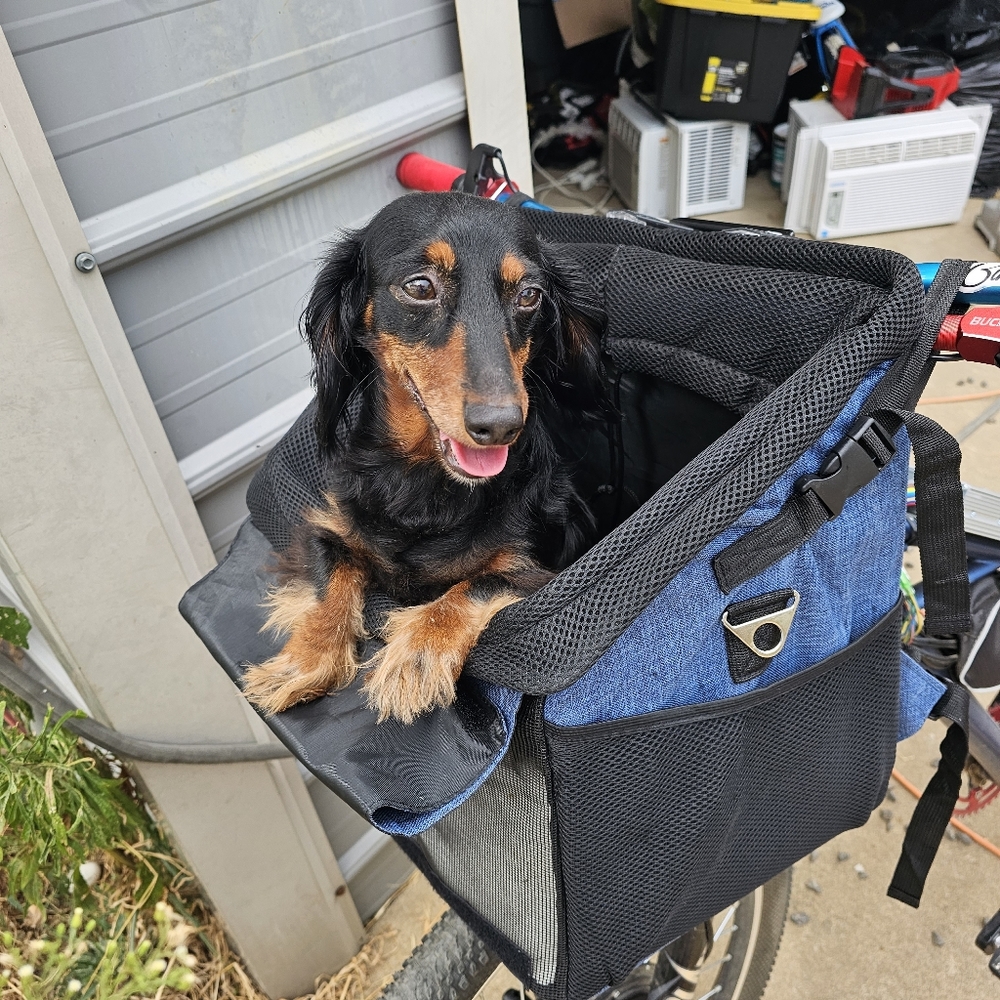 Meet your Posher, Dee